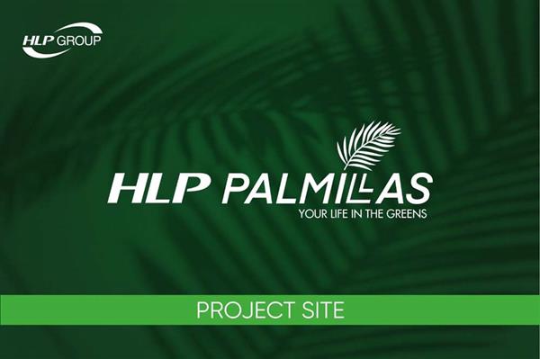 HLP Palmillas