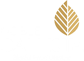 Noble Dream Projects Private Limited